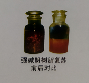 樹脂復(fù)蘇