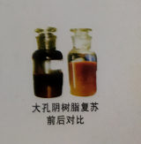 樹脂復(fù)蘇